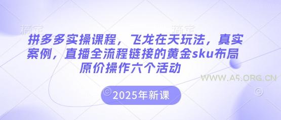 拼多多实操课程,飞龙在天玩法,真实案例,直播全流程链接的黄金sku布局原价操作六个活动