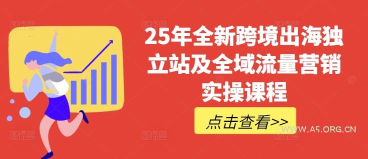 25年全新跨境出海独立站及全域流量营销实操课程，跨境电商独立站TIKTOK全域营销普货特货玩法大全