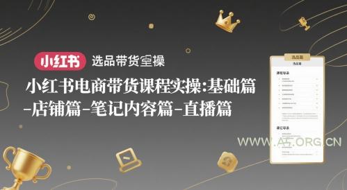 小红书电商带货课程实操:基础篇-选品篇-店铺篇-笔记内容篇-直播篇