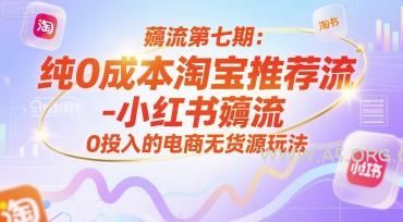 薅流第七期：纯0成本淘宝推荐流-小红书薅流最新版目，0投入的电商无货源玩法（附赠往期）