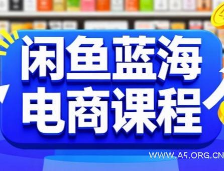 闲鱼蓝海电商课程,手把手助你快速上手,轻松实现闲鱼稳定盈利