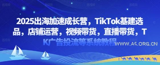 2025出海加速成长营,TikTok基建选品,店铺运营,视频带货,直播带货,TK广告投流等系统教程