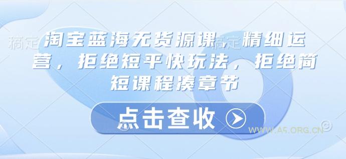淘宝蓝海无货源课,精细运营,拒绝短平快玩法,拒绝简短课程凑章节
