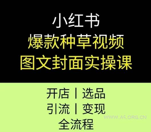 小红书爆款种草视频图文封面实操课，开店、选品、引流、变现全流程