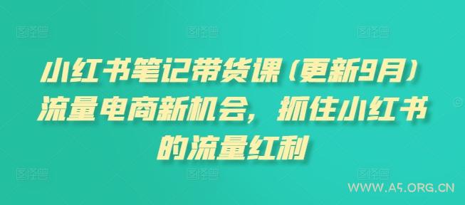 小红书笔记带货课(更新25年4月)流量电商新机会，抓住小红书的流量红利