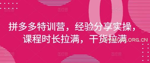 拼多多特训营，经验分享实操，课程时长拉满，干货拉满(更新25年4月)