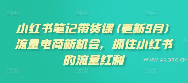 小红书笔记带货课(更新25年3月)流量电商新机会，抓住小红书的流量红利