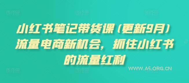 小红书笔记带货课(更新25年5月)流量电商新机会，抓住小红书的流量红利