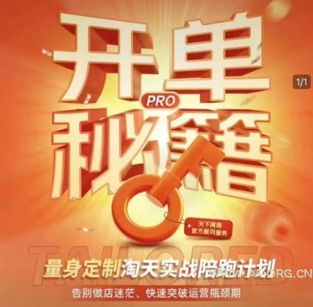 淘宝开单秘籍PRO，量身定制淘天实战陪跑计划，告别做店迷茫、快速突破运营瓶颈期（更新6月）