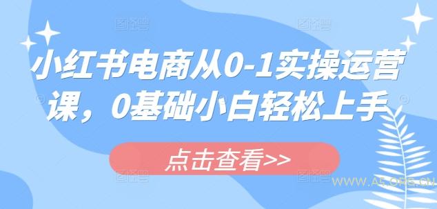 小红书电商从0-1实操运营课，0基础小白轻松上手