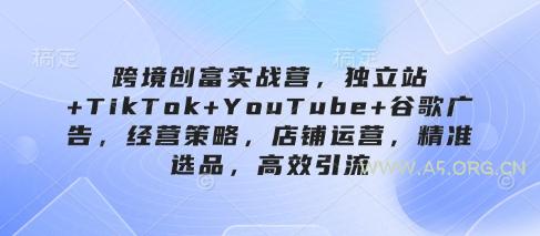 跨境创富实战营,独立站+TikTok+YouTube+谷歌广告,经营策略,店铺运营,精准选品,高效引流