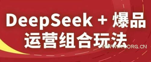 DeepSeek+爆品运营组合玩法，2025淘系精品课