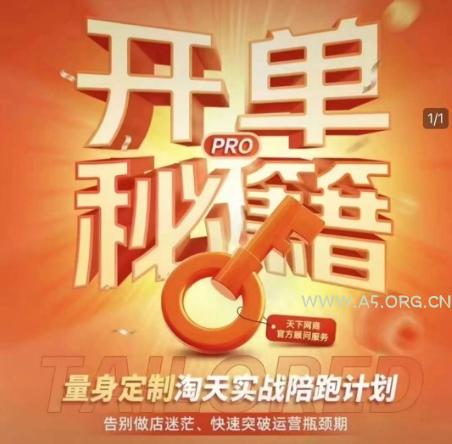 淘宝开单秘籍PRO，量身定制淘天实战陪跑计划，告别做店迷茫、快速突破运营瓶颈期（更新）