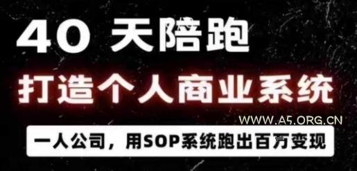 40天陪跑打造个人商业系统,一人公司,用SOP系统跑出百W变现