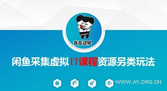 闲鱼采集虚拟IT课程资源另类玩法，干货满满