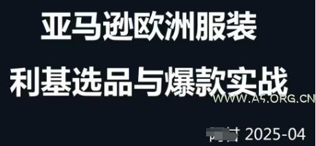 跨境电商选品案例24-25年，聚焦跨境电商选品策略与运营优化，助力卖家挖掘蓝海市场