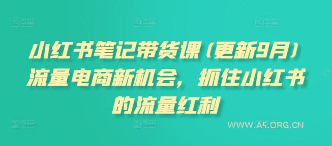 小红书笔记带货课(更新25年9月)流量电商新机会,抓住小红书的流量红利