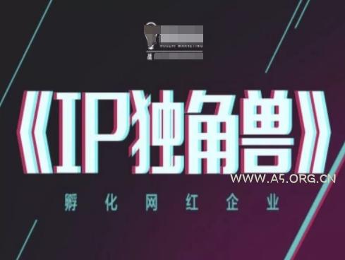 IP独角兽，孵化网红企业，ip教程