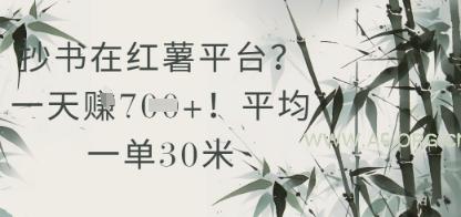 抄书在小红薯平台？平均一单30米，一天收益几张！