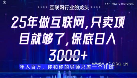 什么！25年你还在找项目做？风口早就变了，卖项目才是稳挣不赔【揭秘】