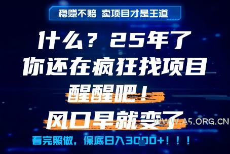什么？25年你还在疯狂找项目做，醒醒吧，看完这些你全都懂了！【揭秘】