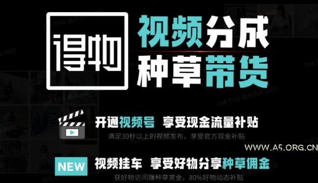 外面卖到1980的得物双通道玩法项目拆解，3-7天的一个起号周期，每月保底有3k - 5k【揭秘】