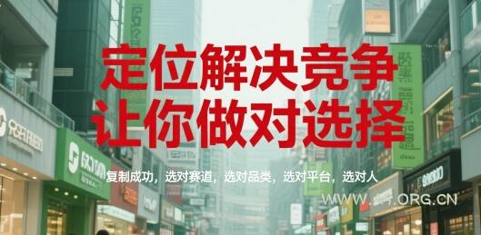 定位解决竞争，让你做对选择，复制成功，选对赛道，选对品类，选对平台，选对人