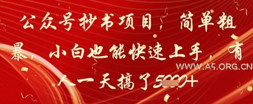 公众号抄书项目，简单粗暴，小白也能快速上手，有人一天搞了1k+