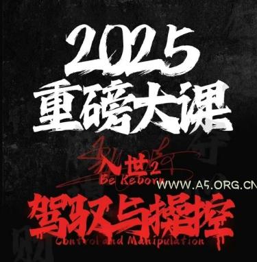 2025重磅大课，入世2，驾驭与控制