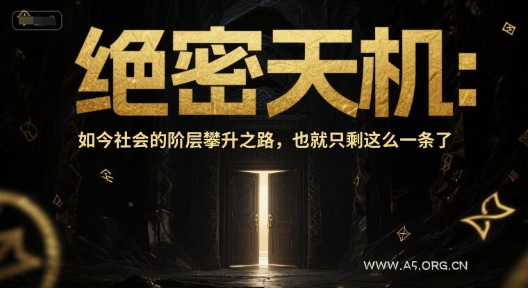 付费文章:绝密天机:如今社会的阶层攀升之路,也就只剩这么一条了