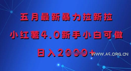 五月最新暴力拉新拉，小红薯4.0新手小白可做，日入多张