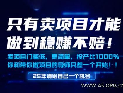 只有卖项目才能做到稳挣不赔,门槛低,更简单,你也可以年入百个W【揭秘】
