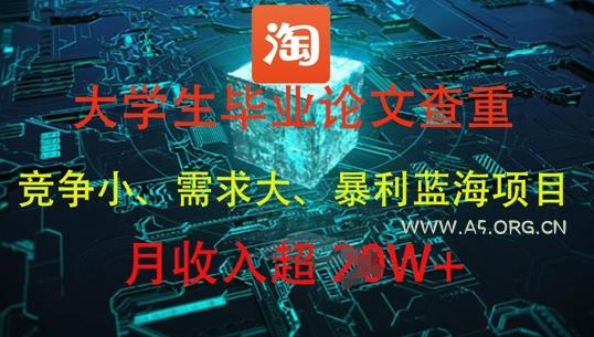 大学生毕业论文查重，暴利蓝海项目，月收入过1W+