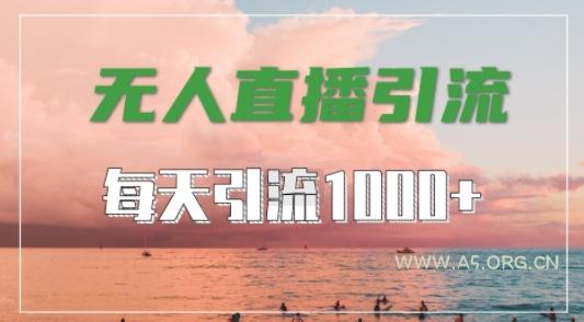 抖音快手视频号全平台通用，无人直播引流法，超暴力引流1000+高质量精准创业粉【揭秘】