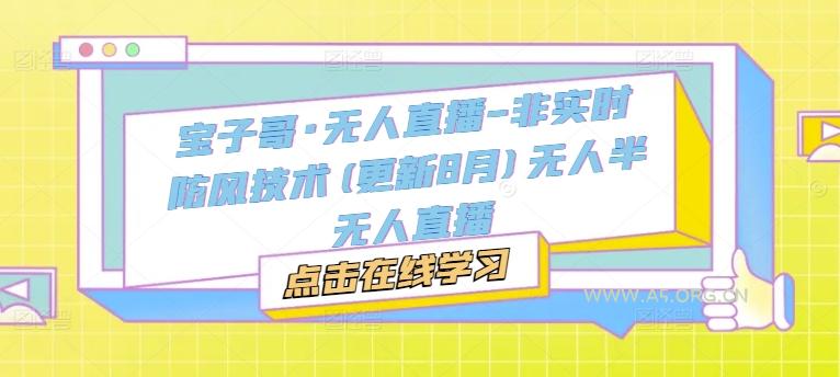 宝子哥·无人直播-非实时防风技术(更新11月)无人半无人直播