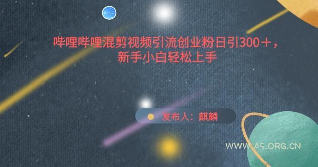 哔哩哔哩混剪视频引流创业粉日引300+，新手小白轻松上手【揭秘】