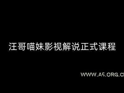 汪哥影视解说正式课程：剪映/PR教学/视解说剪辑5大黄金法则/全流程剪辑7把利器等等