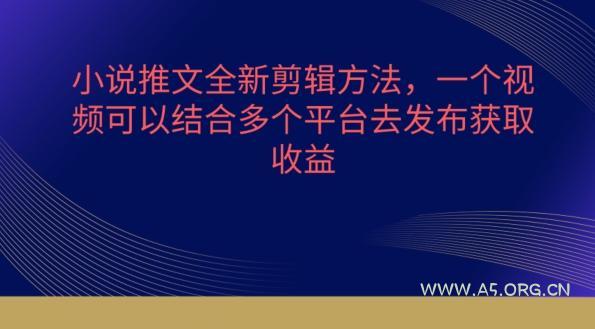 小说推文全新剪辑方法，一个视频可以结合多个平台去发布获取【揭秘】