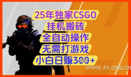 25年独家CSGO挂G搬砖，全自动操作，无需打游戏，小白日入3张+【揭秘】