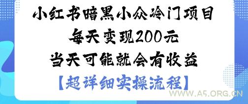 小红书暗黑小众冷门项目每天变现2张当天可能就会有收益