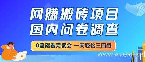 网创搬砖项目,国内问卷调查,小白轻松上手,一天三四张的也不难,干就完了【揭秘】