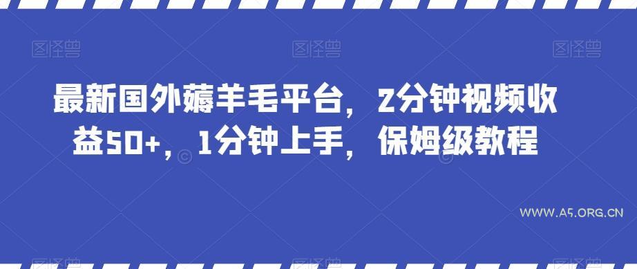 最新国外薅羊毛平台，2分钟视频收益50+，1分钟上手，保姆级教程【揭秘】