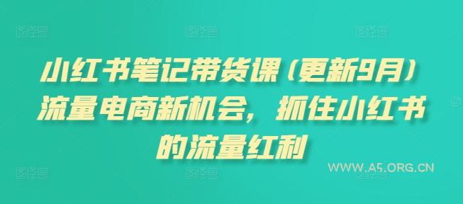 小红书笔记带货课(更新25年2月)流量电商新机会，抓住小红书的流量红利