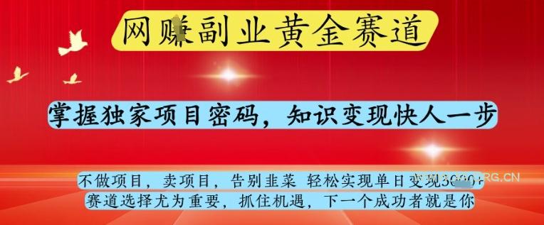 网创副业黄全赛道，掌握独家项目密码，知识变现快人一步，告别韭菜轻松实现单日变现1k+【揭秘】