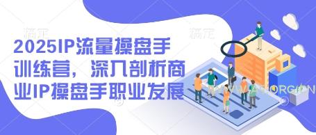 2025IP流量操盘手训练营,深入剖析商业IP操盘手职业发展