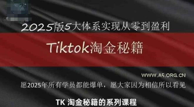 TikTok跨境2025淘金秘籍,2025TikTok从0到盈利变现