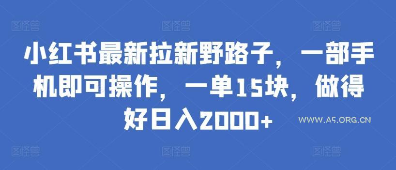 小红书最新拉新野路子，一部手机即可操作，一单15块，做得好日入2000+【揭秘】