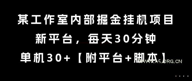 某工作室内部掘金挂G项目，新平台，每天30分钟，单机30+【揭秘】