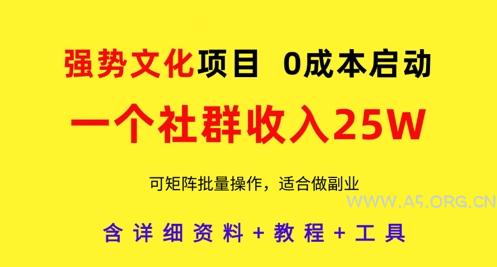 强势文化项目，一个社群收入25个W，0成本启动，可矩阵批量操作，原创详细实操教程