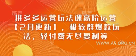 拼多多运营玩法课高阶运营【2月更新】，极致群爆款玩法，轻付费无尽复制等